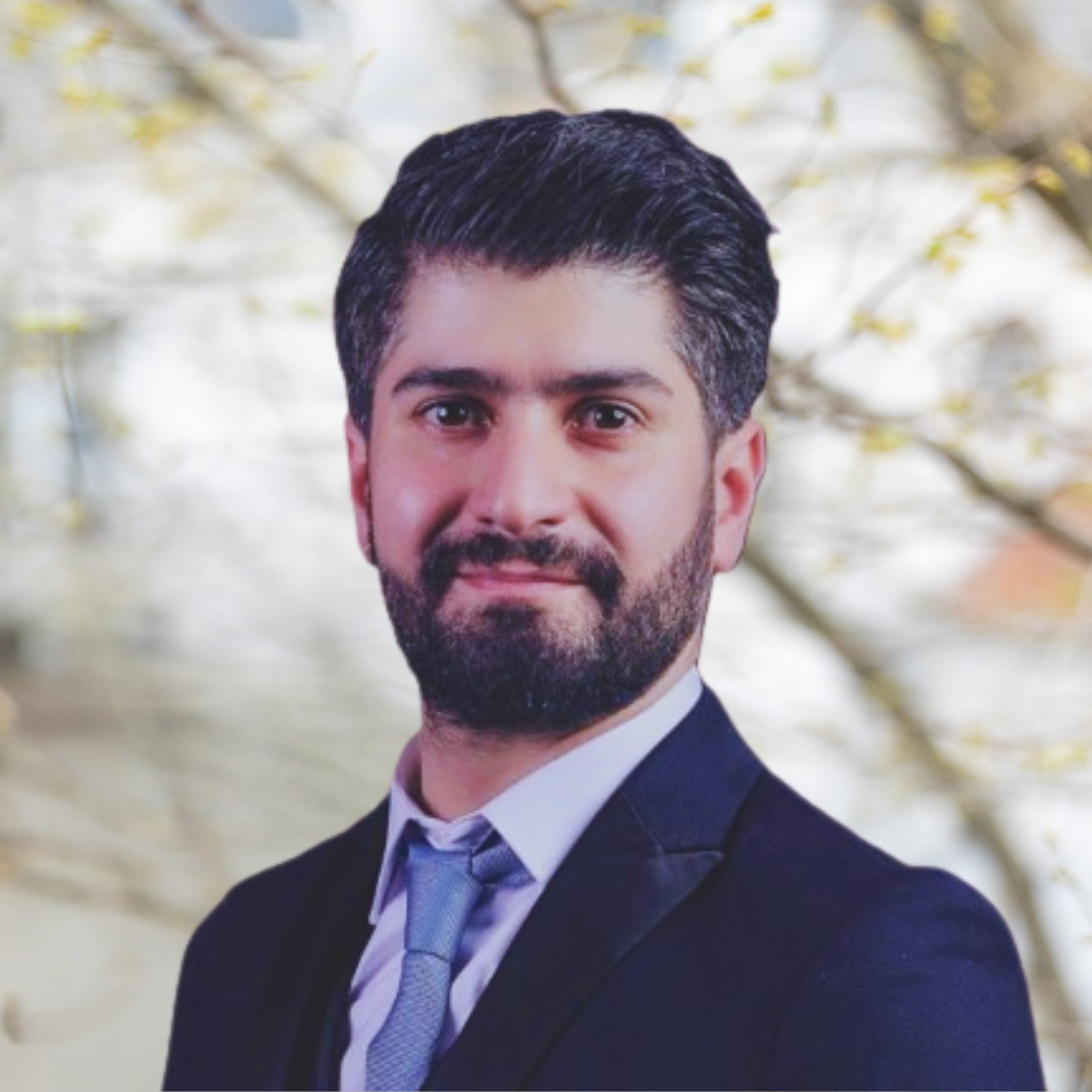 Aras Ismail - IT Manager