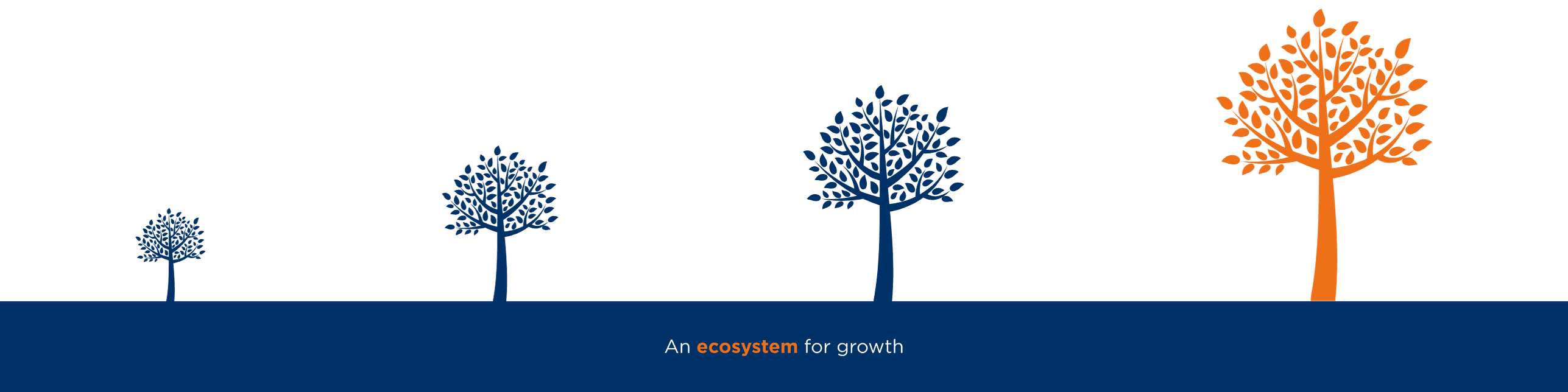 AMINDIS Growth ecosystem