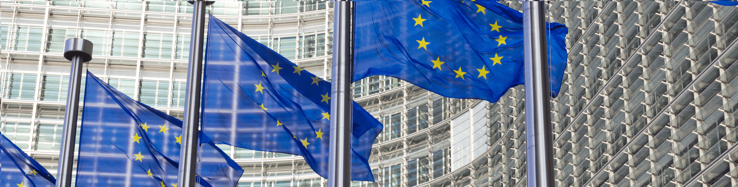 EU taxonomy