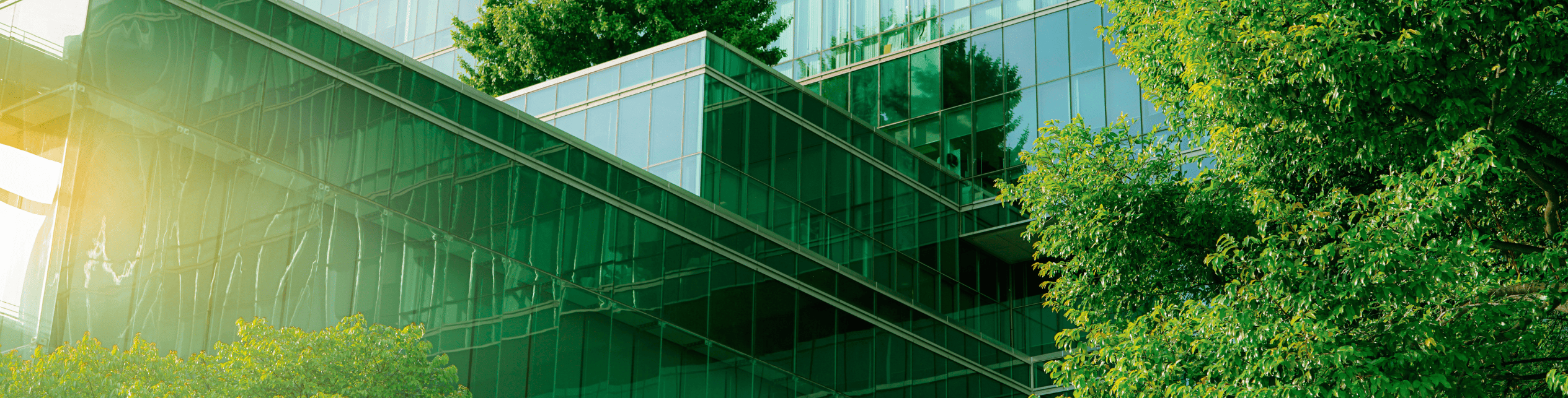 CSRD and sustainable finance