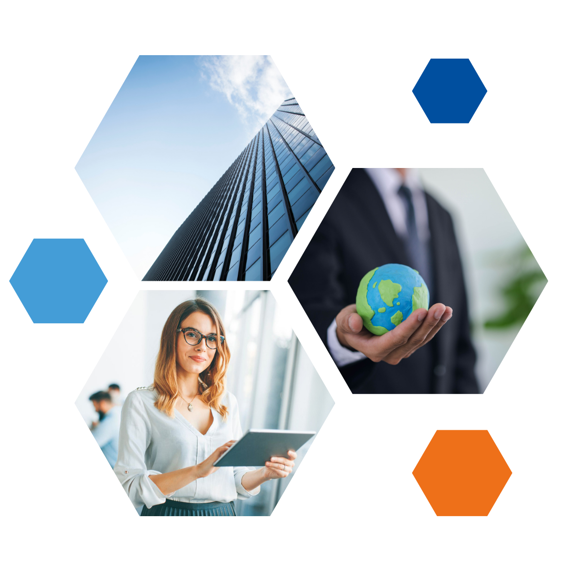 Portfolio management system, Asset management, Finance, Software, AMINDIS