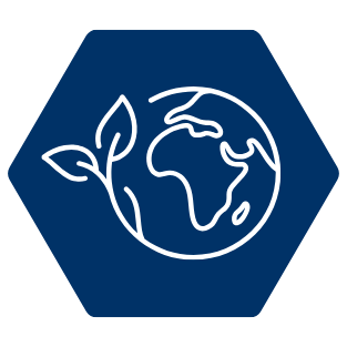 ESG ANALYSTS