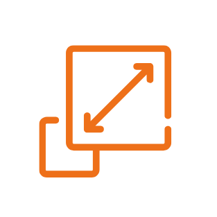 FLEXIBLE EXECUTION MODES