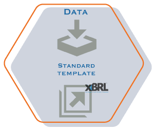 data standard template