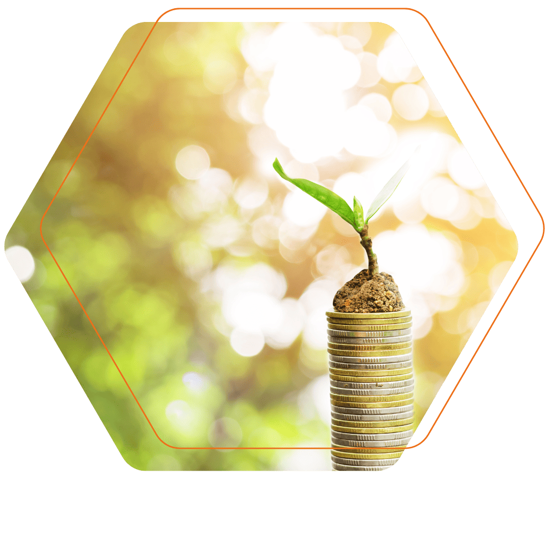 hexagone impact risk return